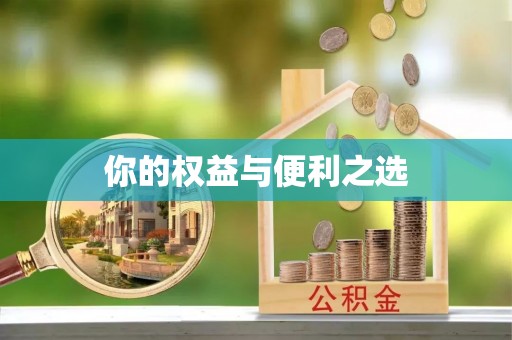 弋阳你的权益与便利之选