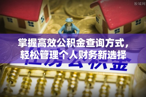 弋阳掌握高效公积金查询方式，轻松管理个人财务新选择