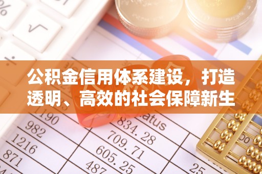 弋阳公积金信用体系建设，打造透明、高效的社会保障新生态