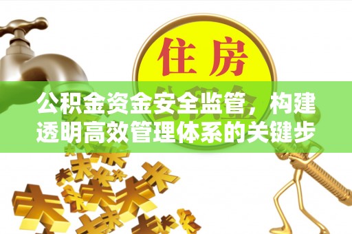 弋阳公积金资金安全监管，构建透明高效管理体系的关键步骤