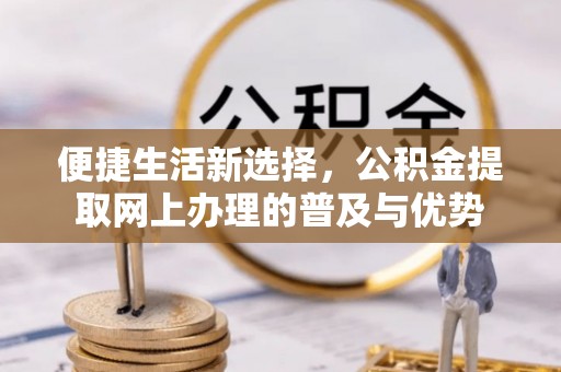弋阳便捷生活新选择，公积金提取网上办理的普及与优势