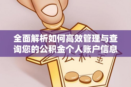 弋阳全面解析如何高效管理与查询您的公积金个人账户信息