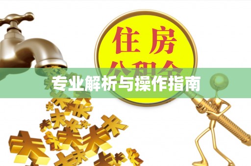 弋阳专业解析与操作指南