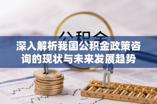 弋阳深入解析我国公积金政策咨询的现状与未来发展趋势