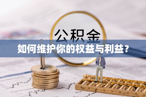 弋阳如何维护你的权益与利益？