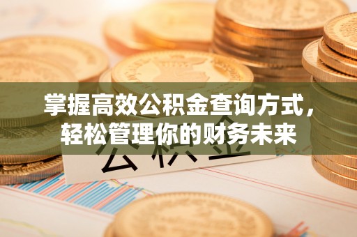 弋阳掌握高效公积金查询方式，轻松管理你的财务未来