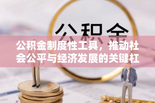 弋阳公积金制度性工具，推动社会公平与经济发展的关键杠杆