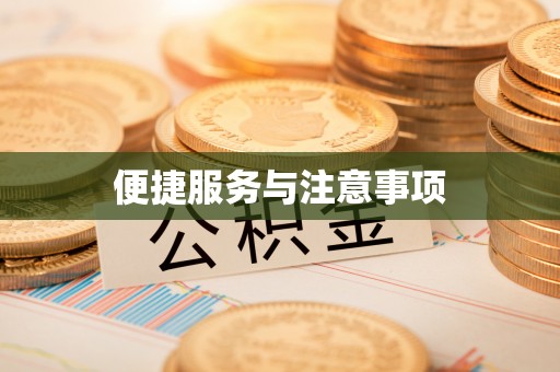 弋阳便捷服务与注意事项