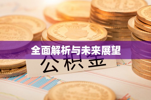 弋阳全面解析与未来展望